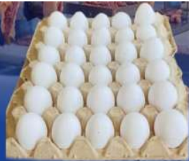 Huevos